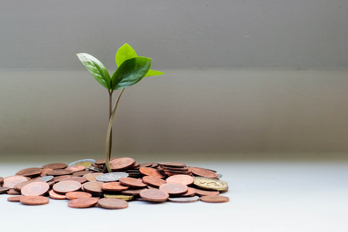 Piggy bank next to growing stacks of coins on a wooden surface